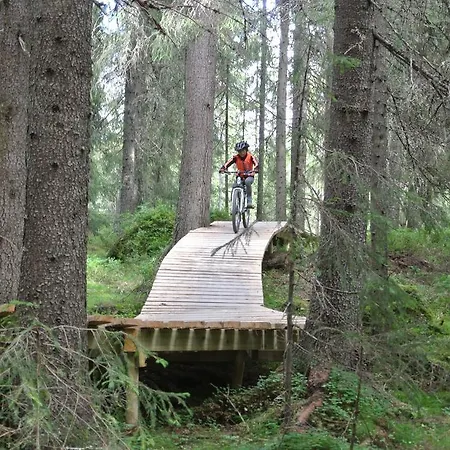 Vakantiehuis Alpin 16a Location *