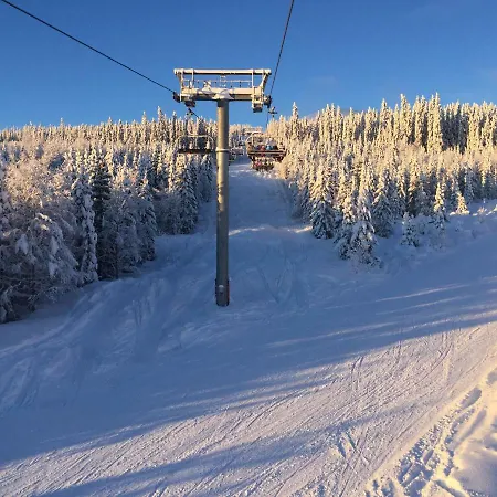 Vakantiehuis Alpin 16a Location