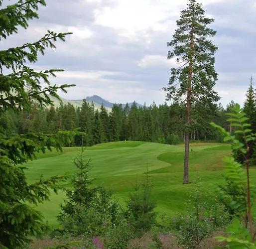 Hébergement de vacances Alpin 16a Location