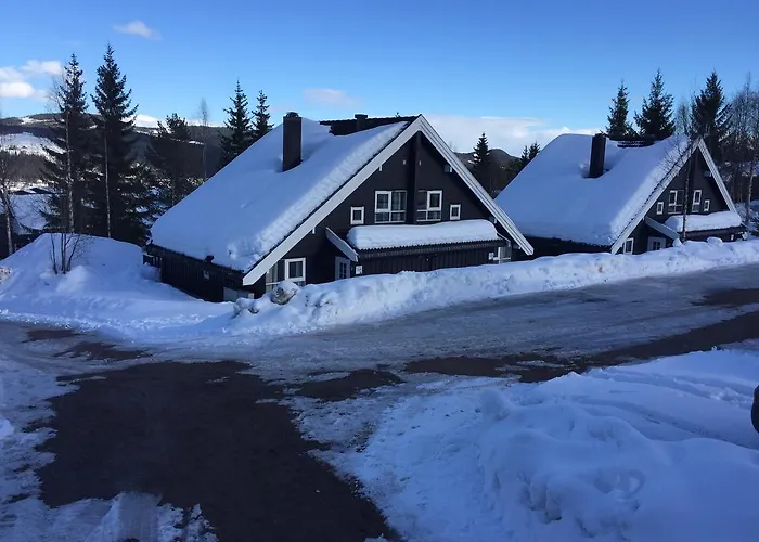 Hébergement de vacances Alpin 16a Location *